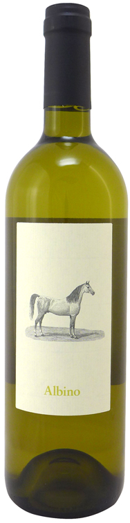 bouteille
