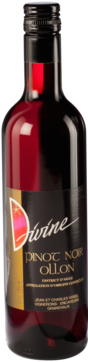 bouteille