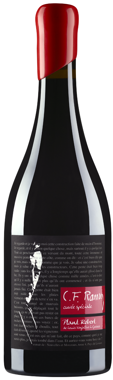 bouteille
