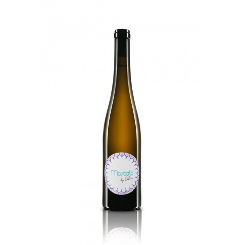 bouteille