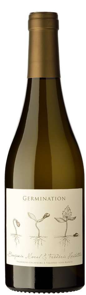 bouteille