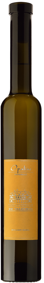 bouteille