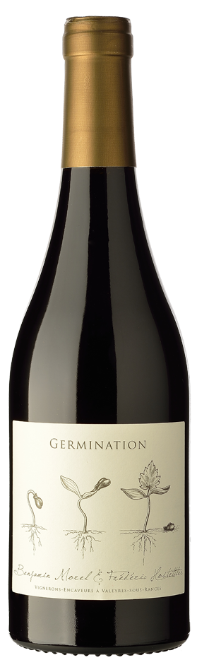 bouteille